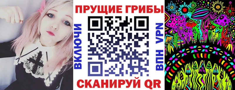 Псилоцибиновые грибы Psilocybe  Лесной 